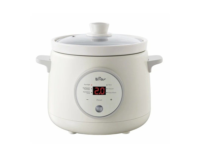 BEAR - SLOW COOKER 2